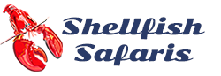 Shellfish Safaris