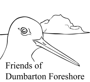 Friends of Dumbarton Foreshore