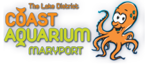 Maryport Coast Aquarium