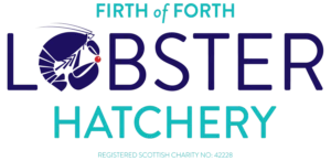 Firth of Forth Lobster Hatchery